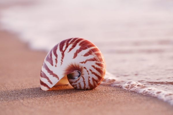 Psichikos sveikatos sutrikimai, savižudybių prevencija ir tinkamas nukreipimas pagalbos