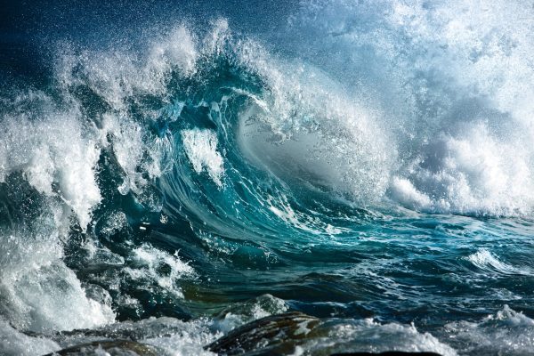 Sielvartas ir gedulas: kai išlydime klientus